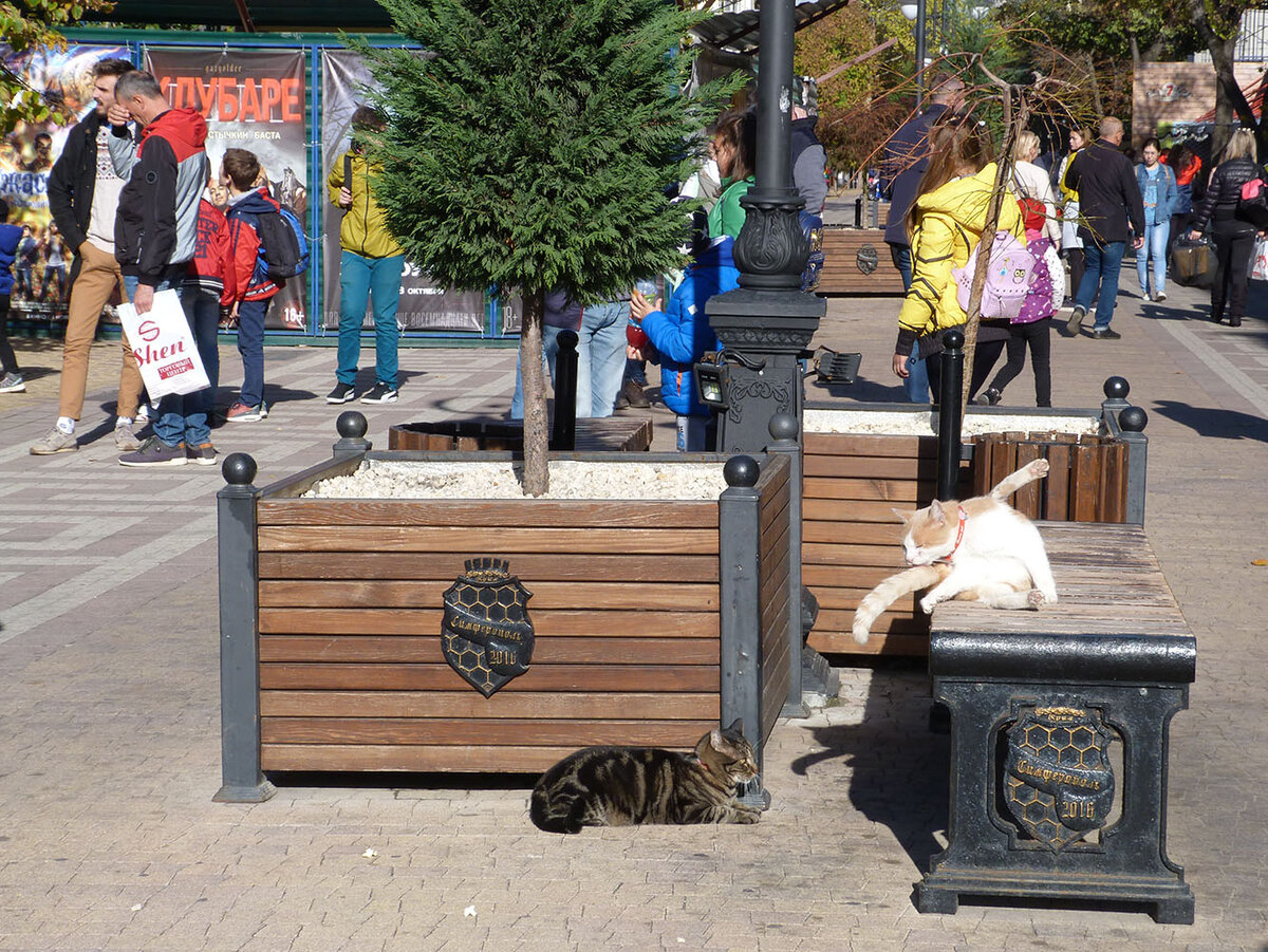 Вот, например, символика города на уличных скамьях.