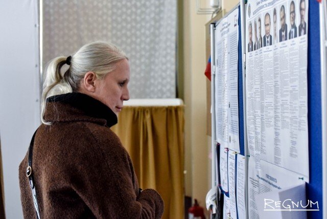    Выборы Дарья Антонова © ИА REGNUM