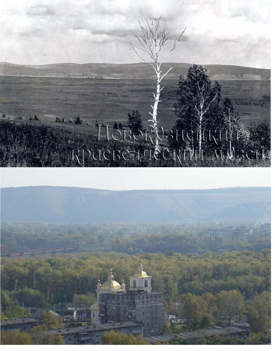 Леса "оккупировали" Новокузнецк меньше чем за 90 лет (верхнее фото - 1925-1926 годы).