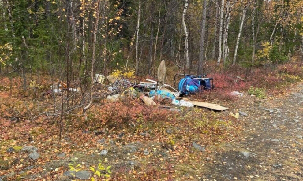    В лесной зоне возле Харпа убрали 2 незаконные свалки
