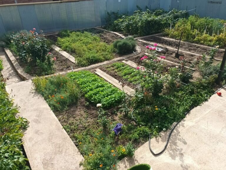    Осенние хлопоты на огороде. Разбираемся с помидорами, убираем ботву и делаем хреновину Андрей Севостьянов