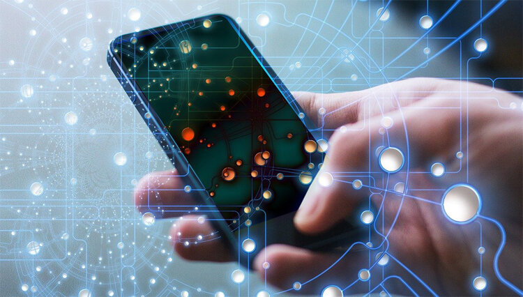    Источник изображений: pixabay.com