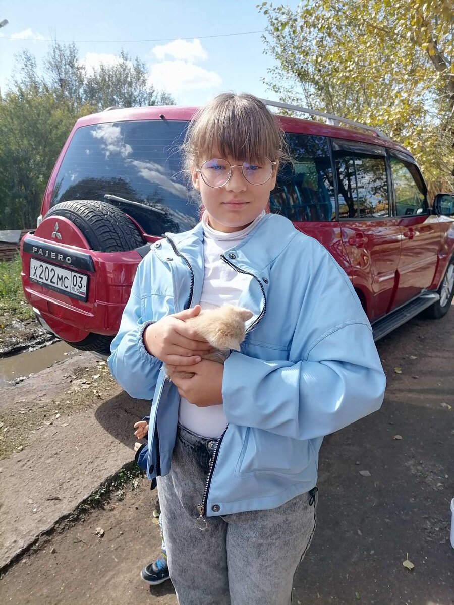 Домой