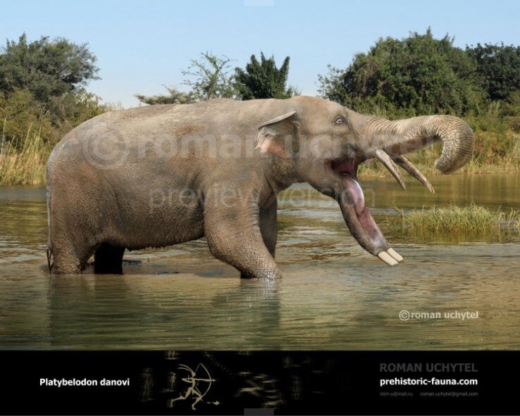 Ааа, я только что видел ужа!