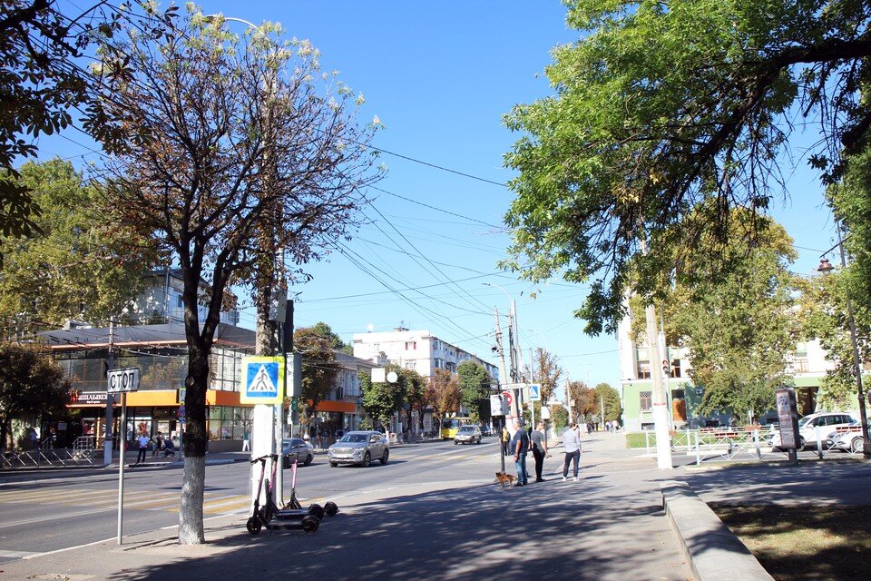     Цветущий каштан в центре Симферополя. Ольга АВЕРЬЯНОВА