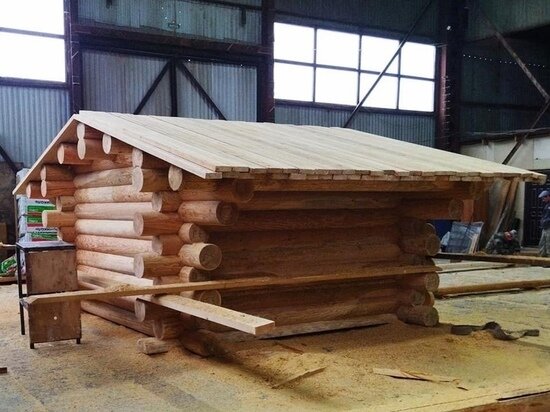     Фото: со странички группы "Авиамедведь Мансур " в "ВКонтакте"