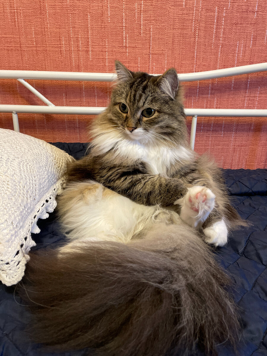 я такой красавчик!