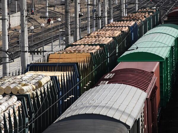   © РИА Новости Евгений Епанчинцев