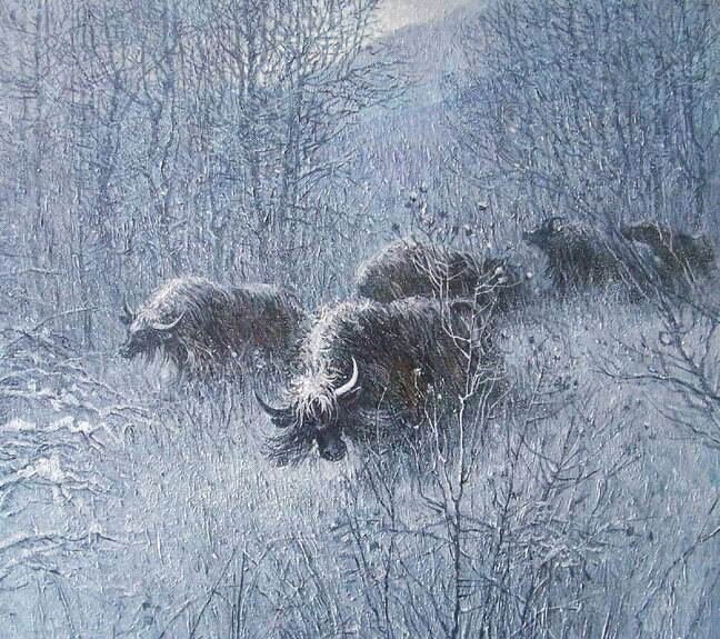 "В предгорьях Алтая. Сарлыки"