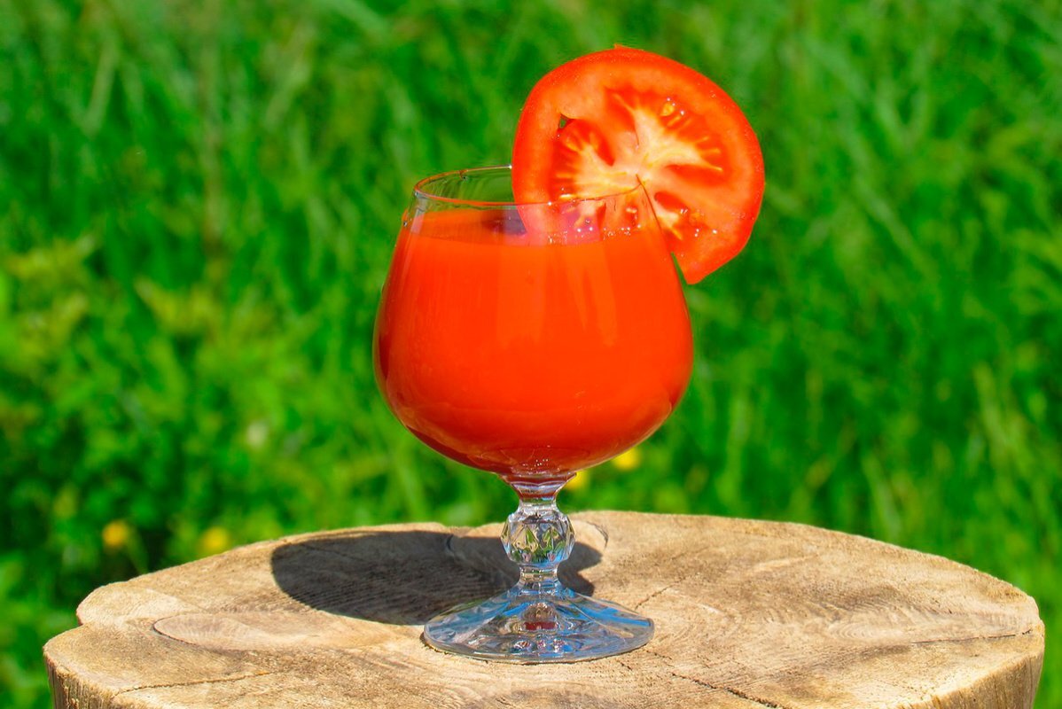  Фото: Dvinchanin / Pixabay