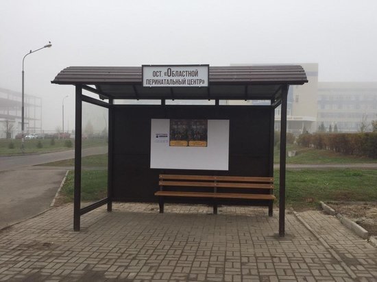     Фото: администрация Курска