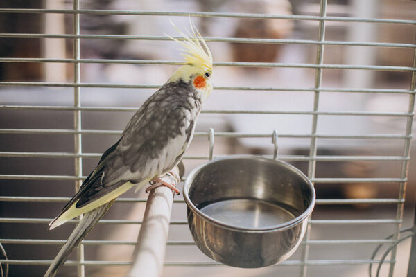 Фото © Shutterstock