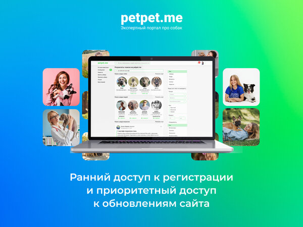 Экспертный портал о собаках Petpet.me запустил краудфандинг для старта и развития.