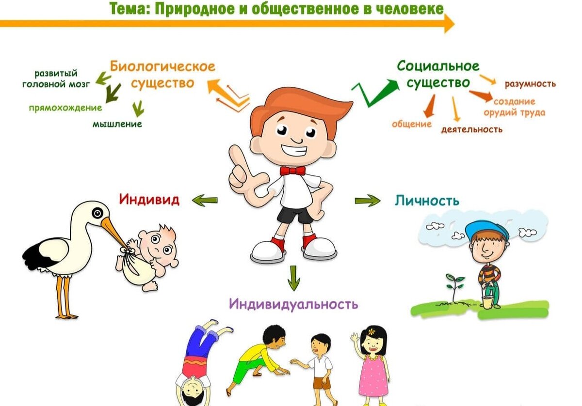 Природное и общественное в человеке егэ план