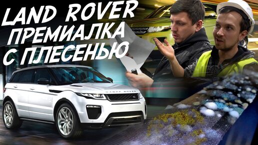 RANGE ROVER EVOQUE от 1.7 до 2.4 млн. ВЫ УДИВИТЕСЬ ЧТО ПРОДАЮТ! Эксперт на день