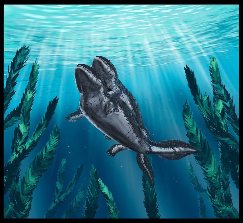 Не, мы просто катаем друг друга…