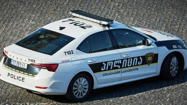   © photo: Sputnik / Stringer