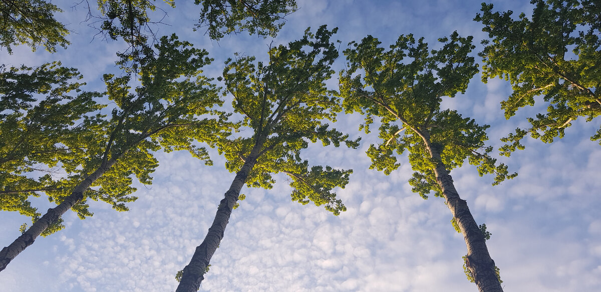 У Вас бывало такое, что после нескольких неудачных попыток руки начинают опускаться и продолжать уже банально нет сил? 