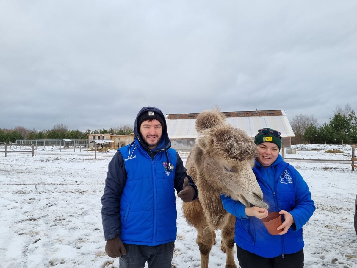 🚑MAXIMA VET в Подмосковье.  