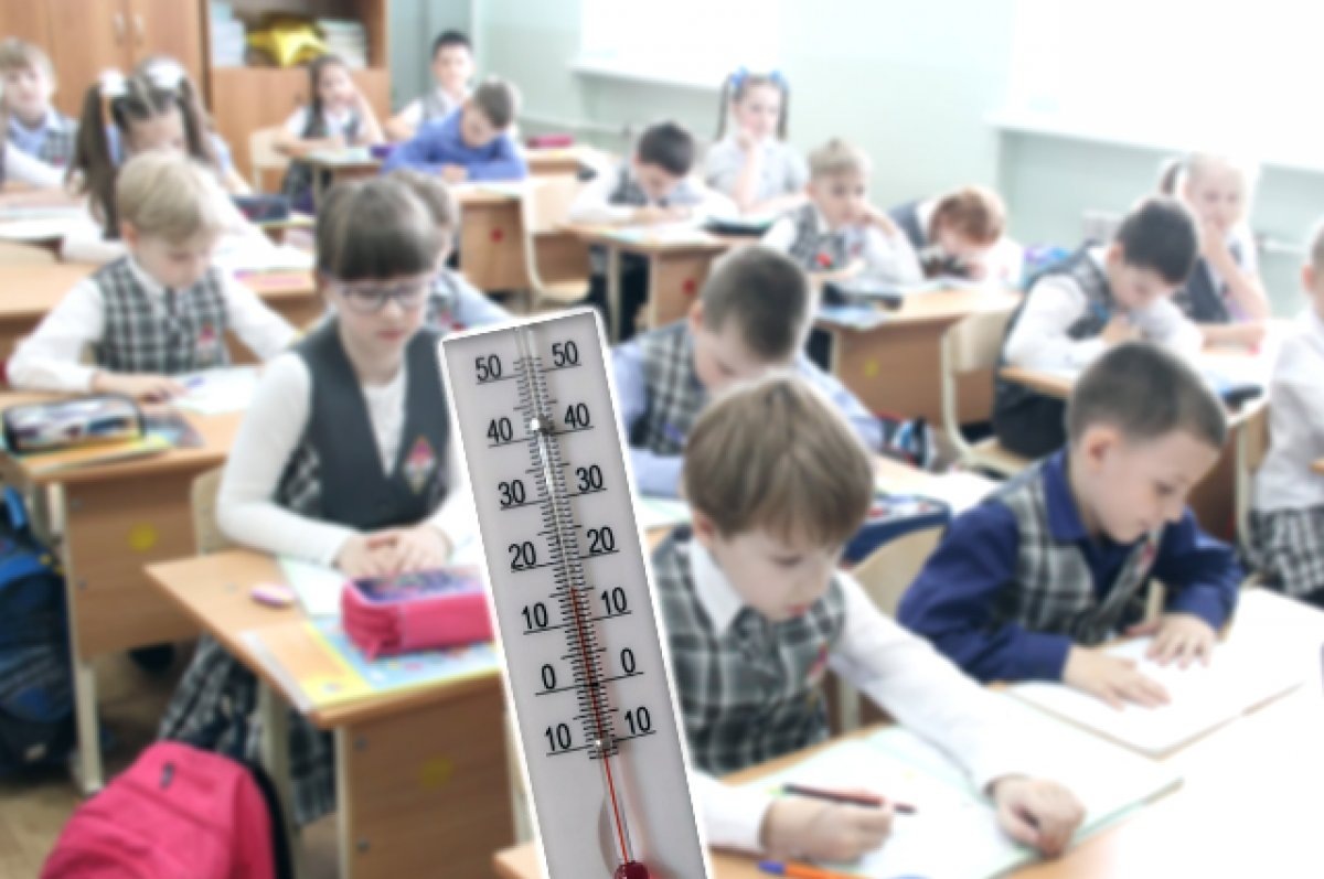    На директора школы Мурманска завели дело об административном правонарушении