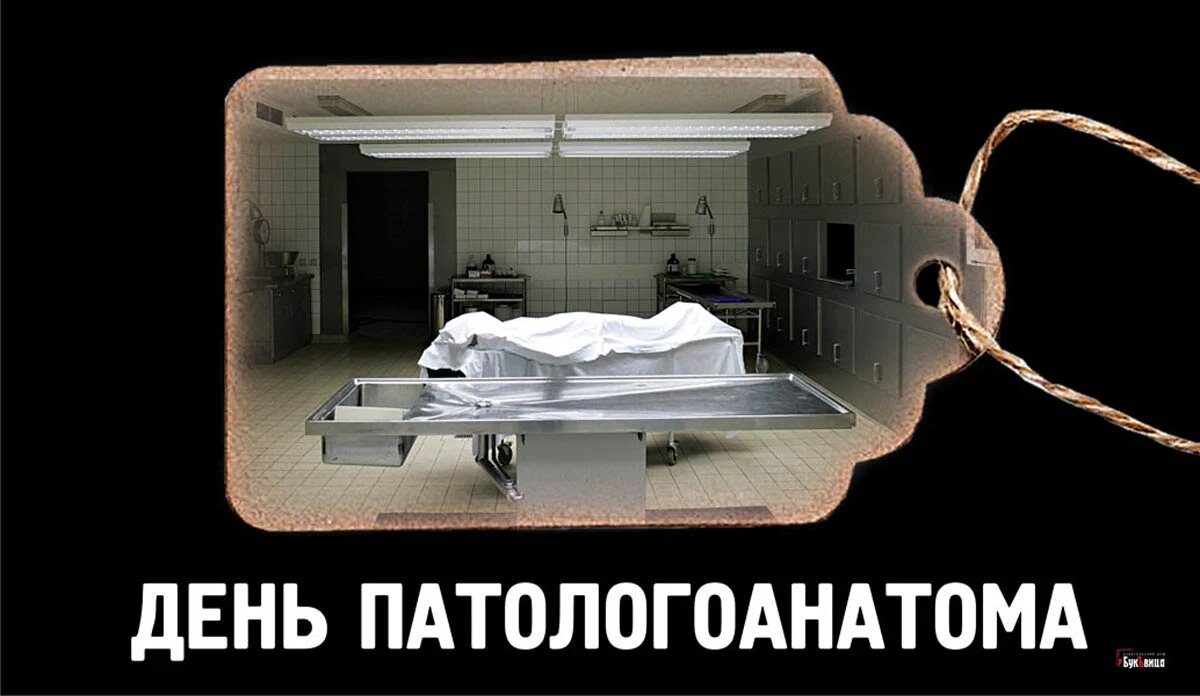 Патологоанатом смешные картинки