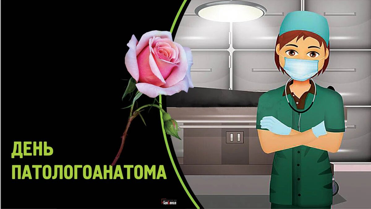 День патологоанатома. Иллюстрация: «Весь Искитим»