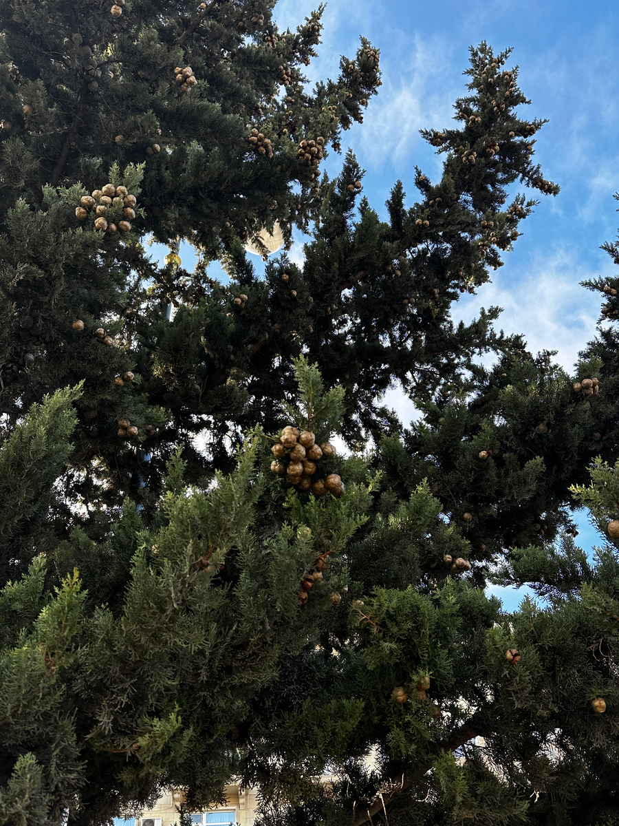 Фото Сергея Скорбенко