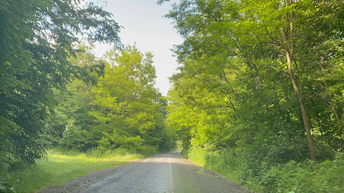 Дорога в автопутешествии