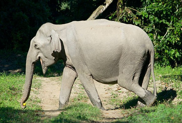 Не смогла остаться равнодушной к этой истории и, хочу поделиться ей с вами.