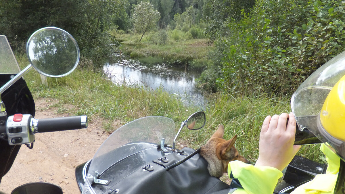 Исток Волги