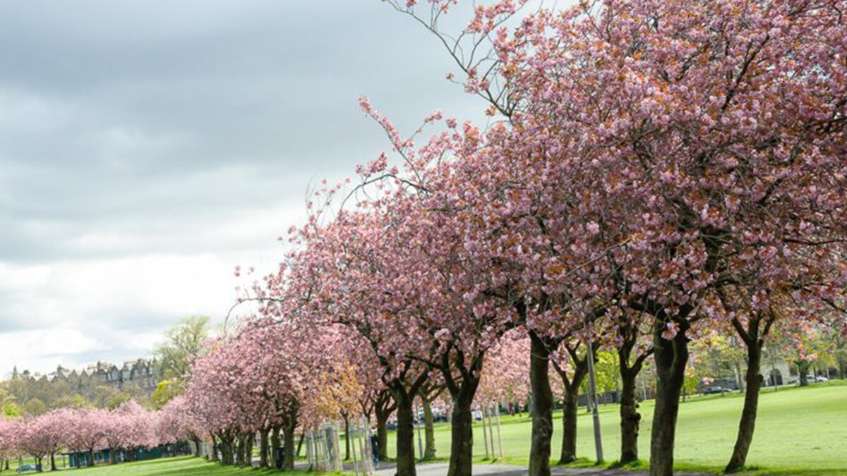 Фото с сервиса Яндекс картинки