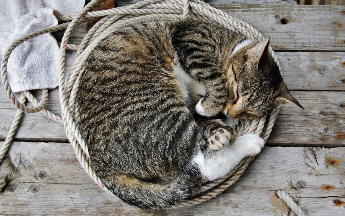 Мне везде хорошо