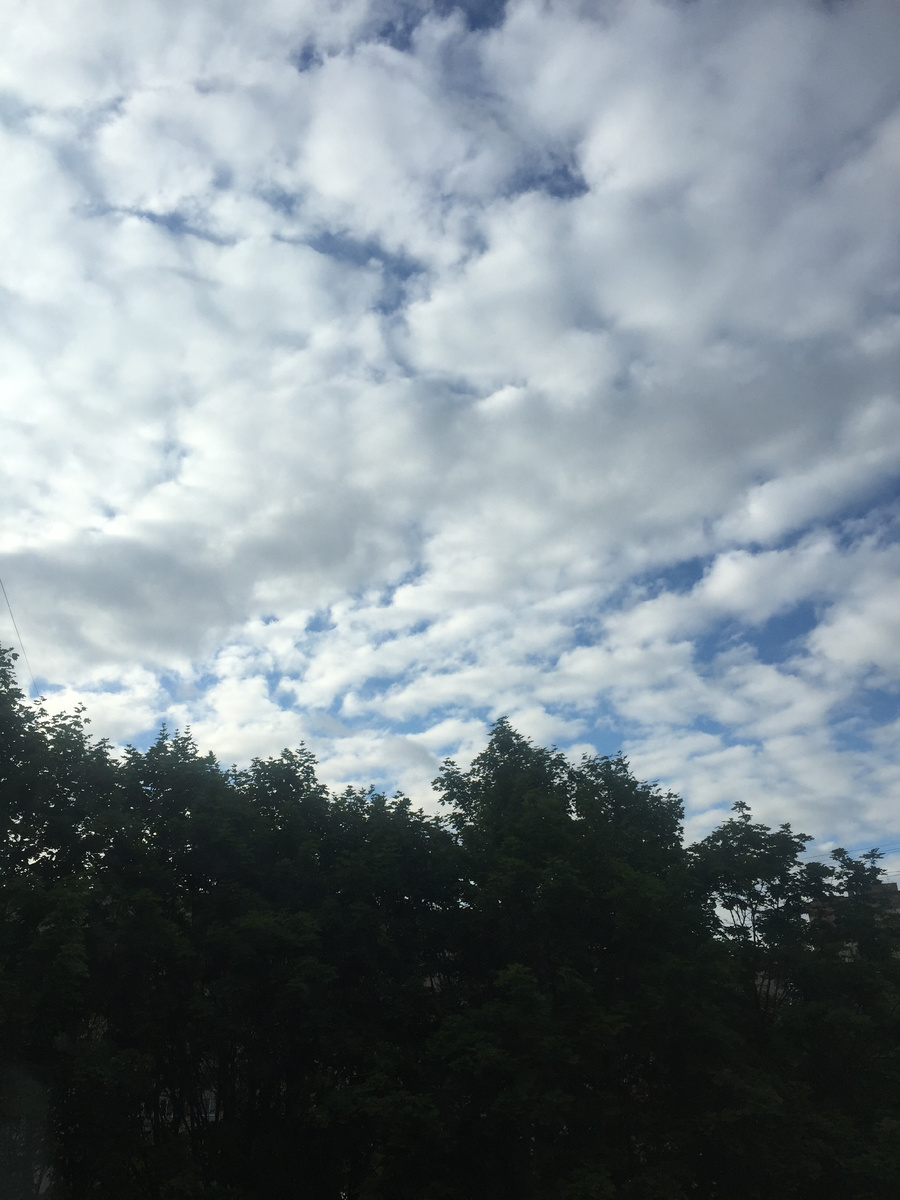 Еще вам зефирки, снова в тему)))