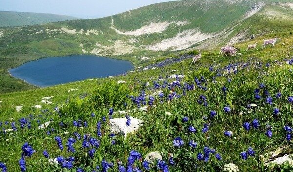 Кузнецкий Алатау