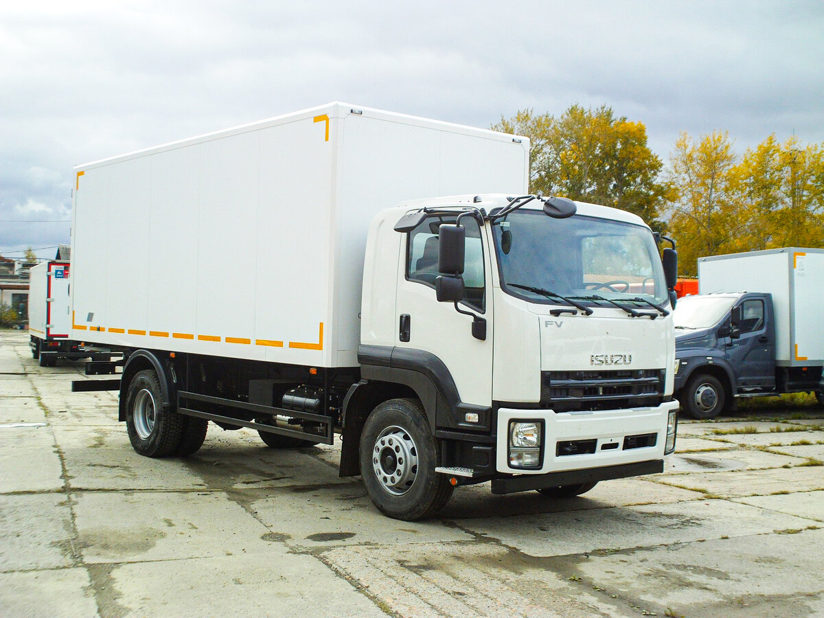 Isuzu FTR 2008