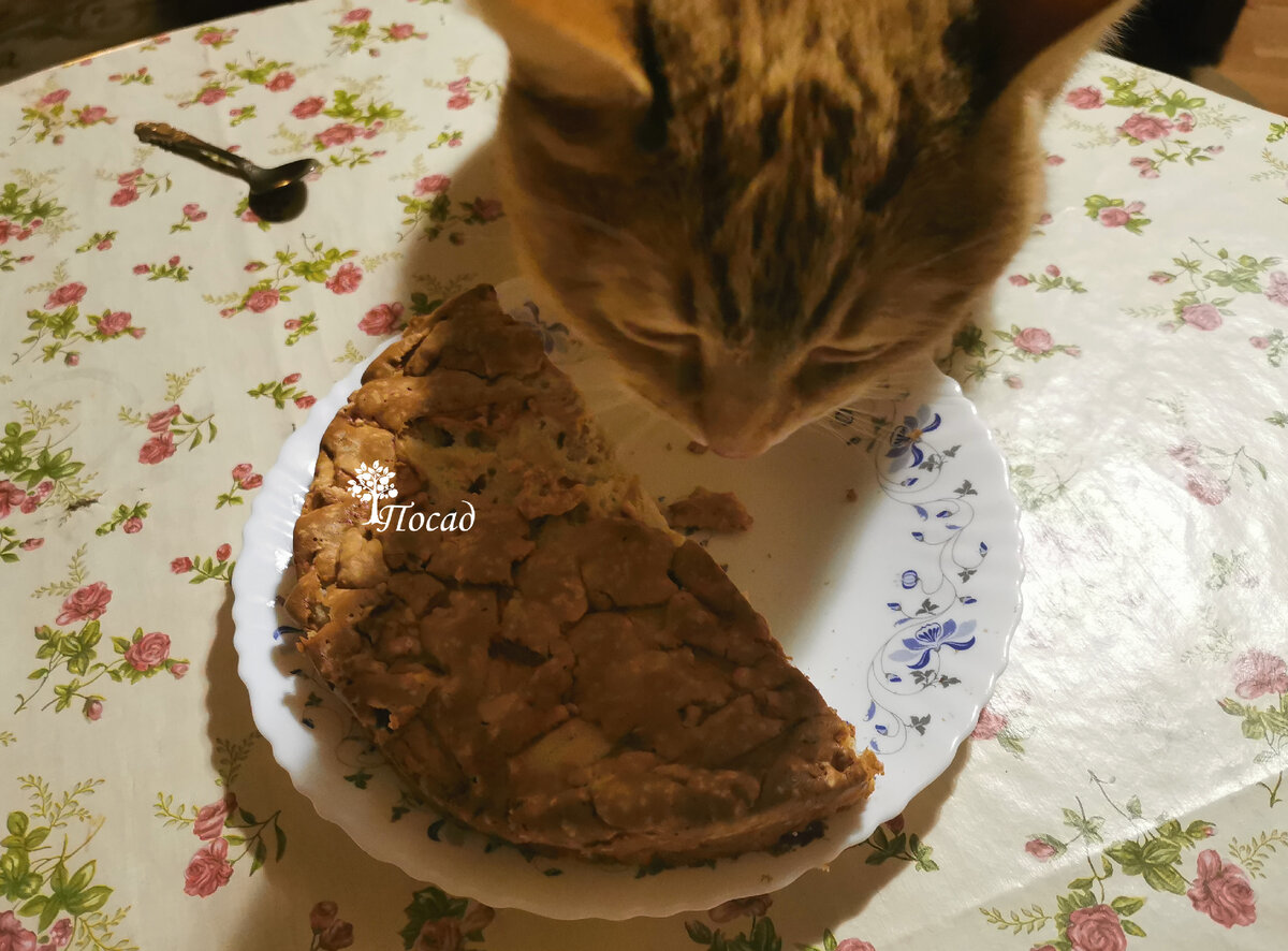 И пирог тоже.