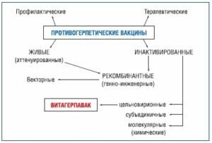 Добавьте описание