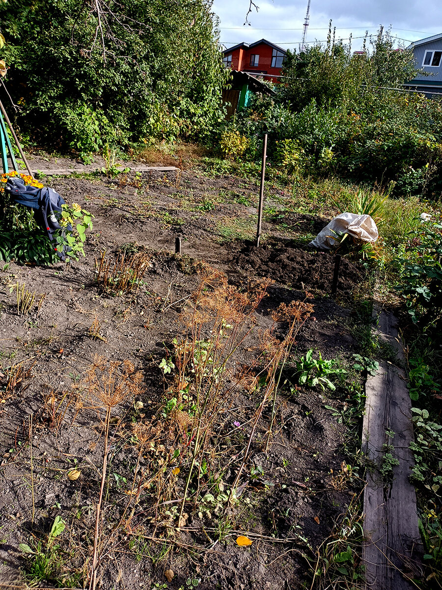 (Фото автора).