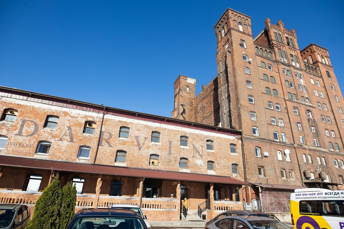   Александр Подгорчук