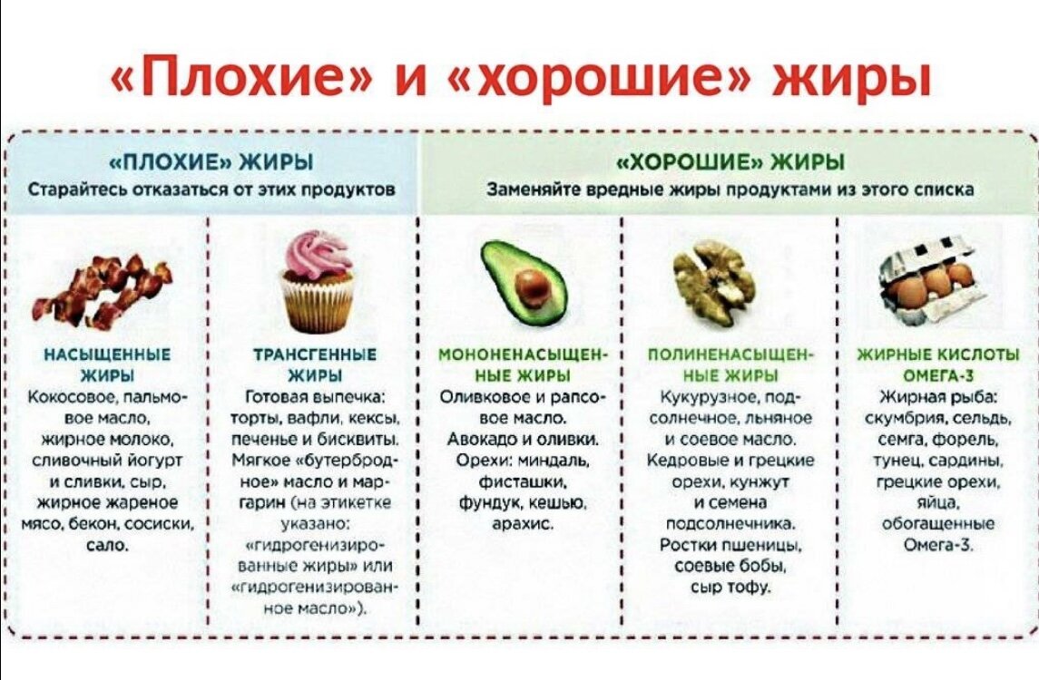 Какие продукты составляют жиры