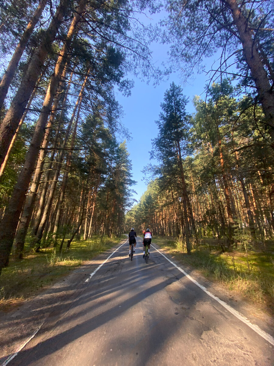 Велотуринг на 200км, Орёл-Брянск через Полесье | pedalhard микротуринги |  Дзен