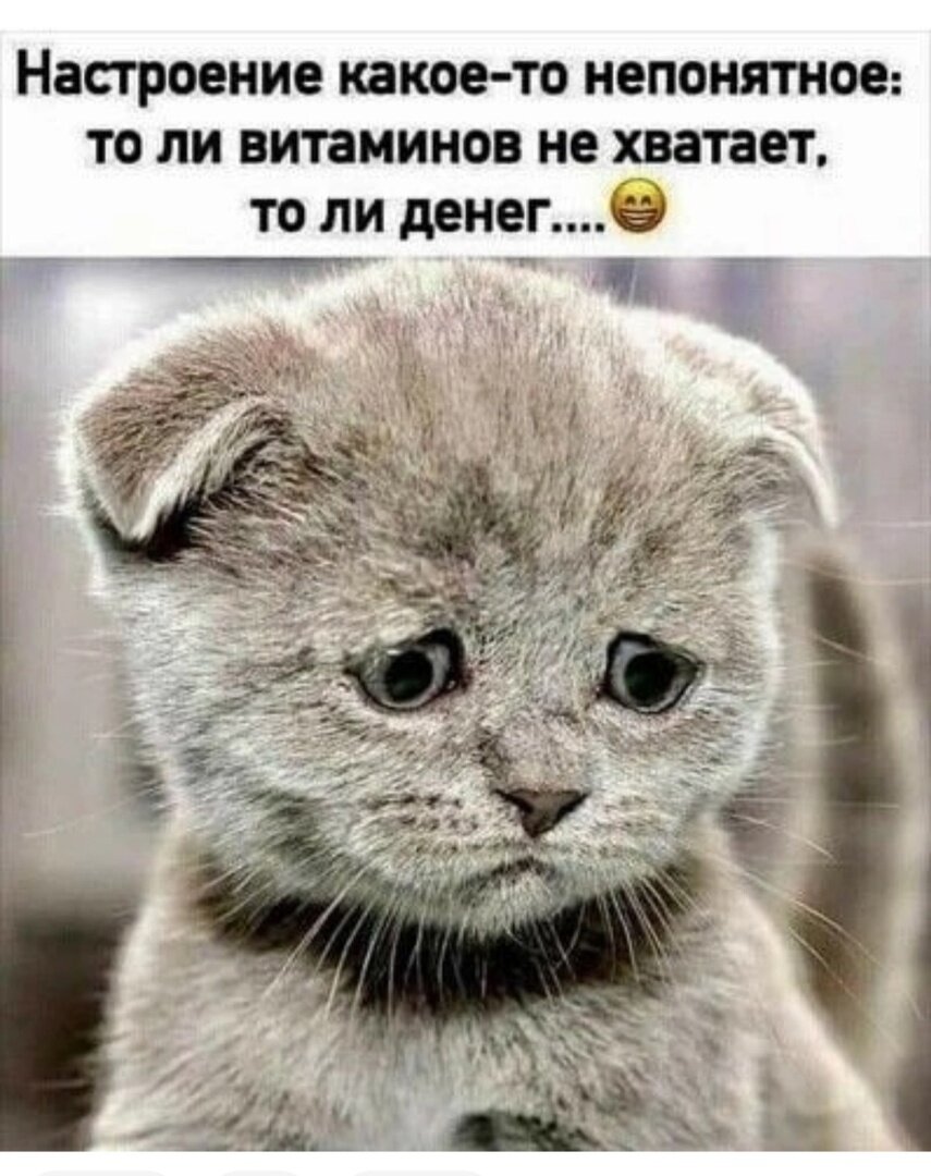 иллюстрация из яндекс картинки.