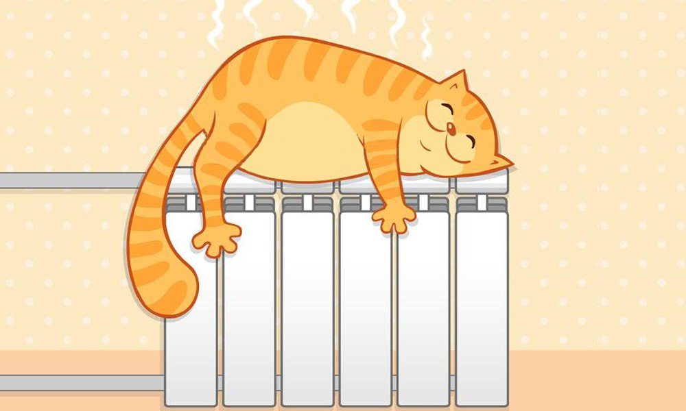 Фото взято в сети Интернет. Фотокоррекция автора.