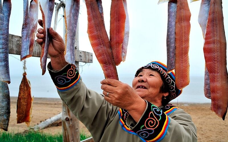 Нанайцы (устаревшее гольды) являются коренным малочисленным народом Дальнего Востока. В мире всего около 16 000 нанайцев.-11