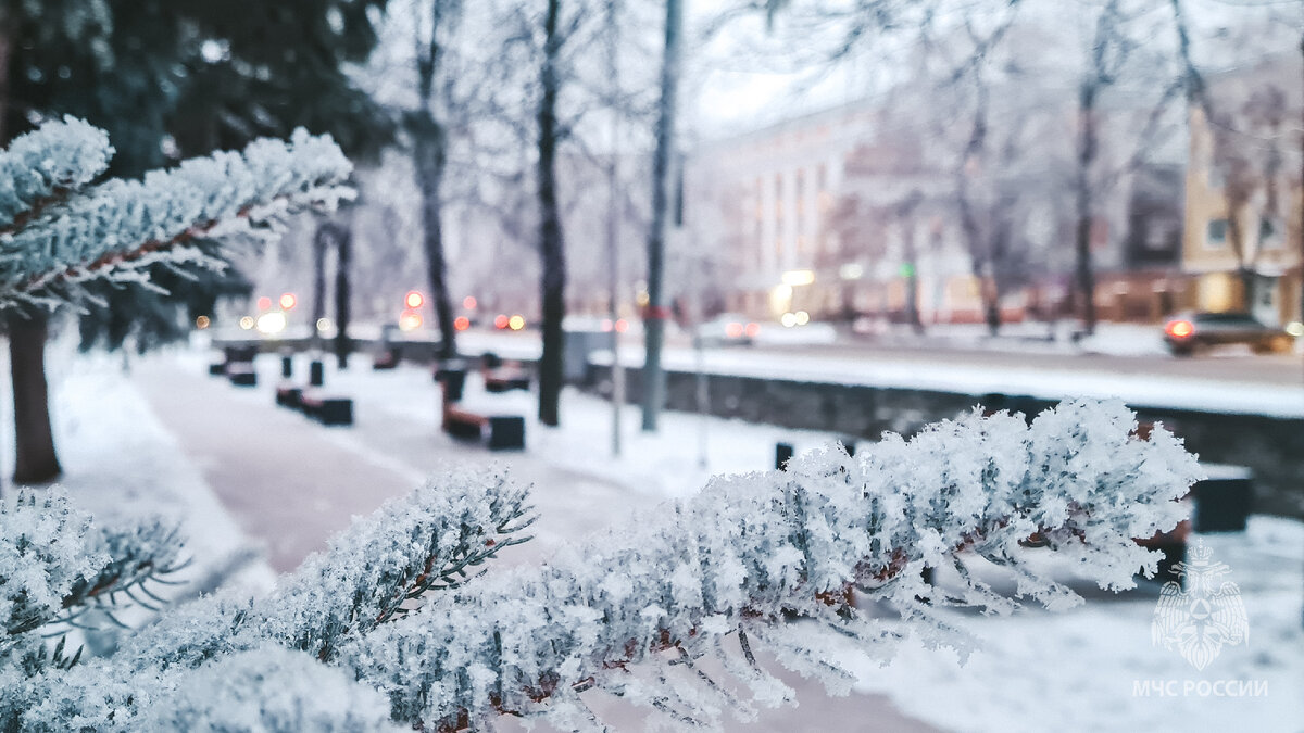 🥶По данным Пермского ЦГМС 06 - 07 декабря местами по Пермскому краю  ожидаются опасные метеорологические явления: гололед, изморозь, мокрый |  МЧС Прикамья | Дзен