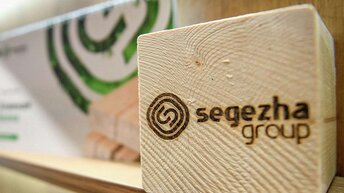 Стоит компании Segezha Group SGZH, ли инвестировать в акции.