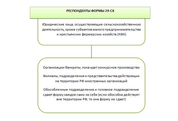 Инструкция По Заполнению Формы 29-СХ | Налог-Налог.Ру | Дзен