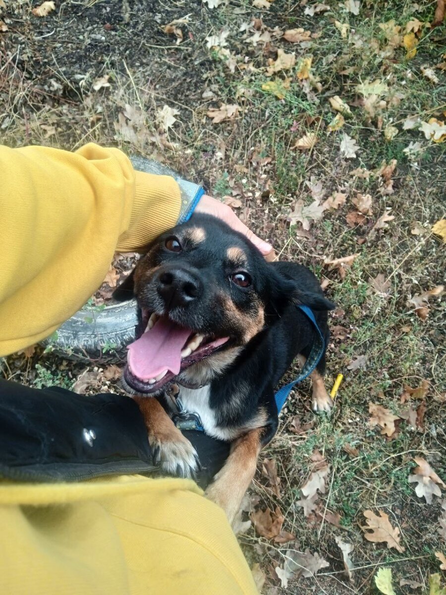 Каждый из них заслуживает шанса. Милашка Тутси