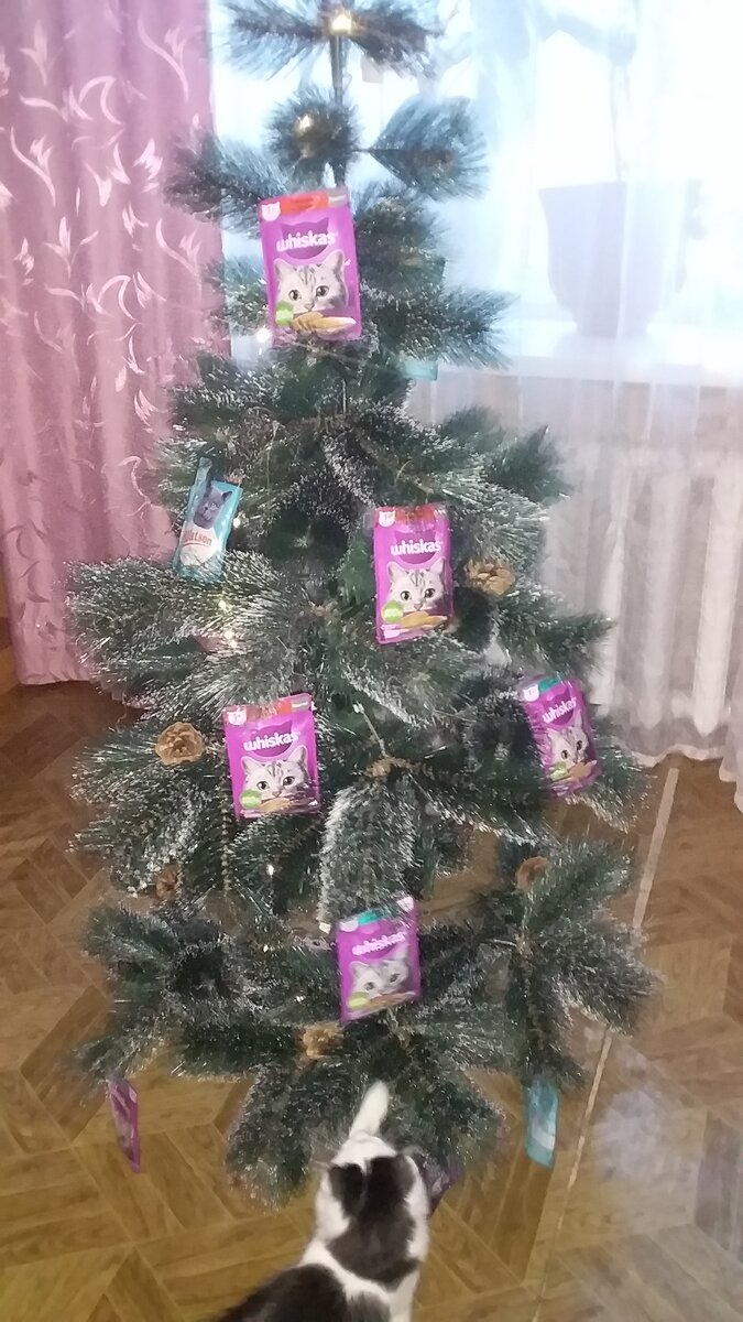 Ёлка для котиков