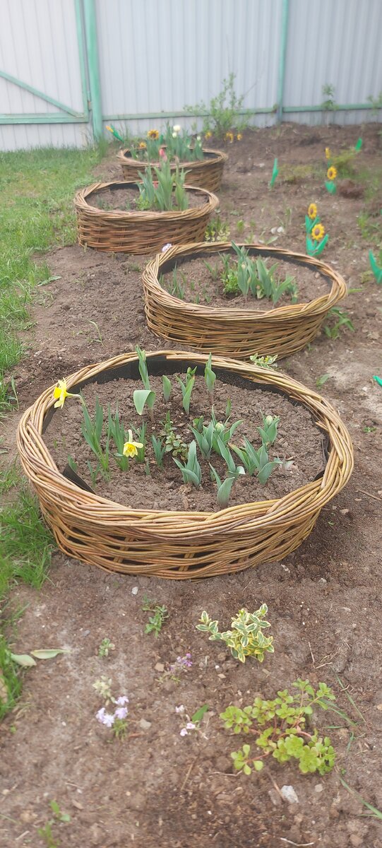 Круглые вазоны 